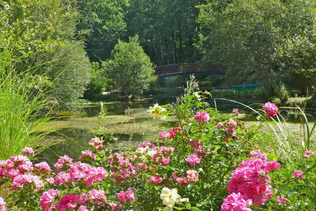 Chateau La Carriere แซงต์-ซีเพรียง ภายนอก รูปภาพ